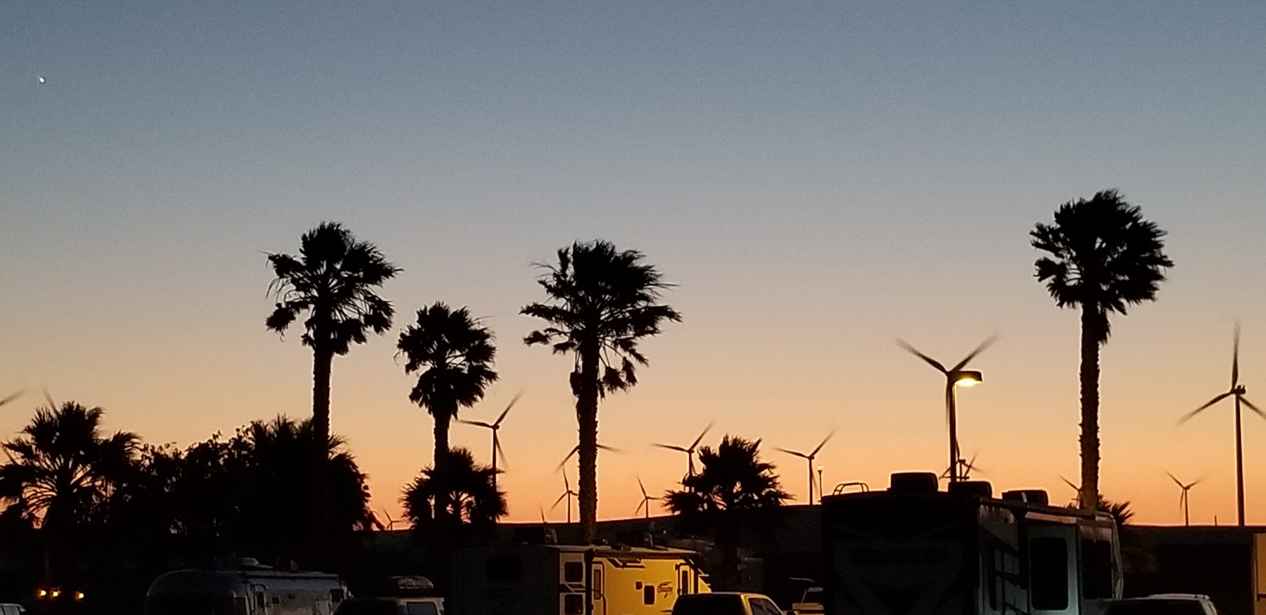 Palm trees and RVs silhouetted against the sunset at Rio Viento RV Park